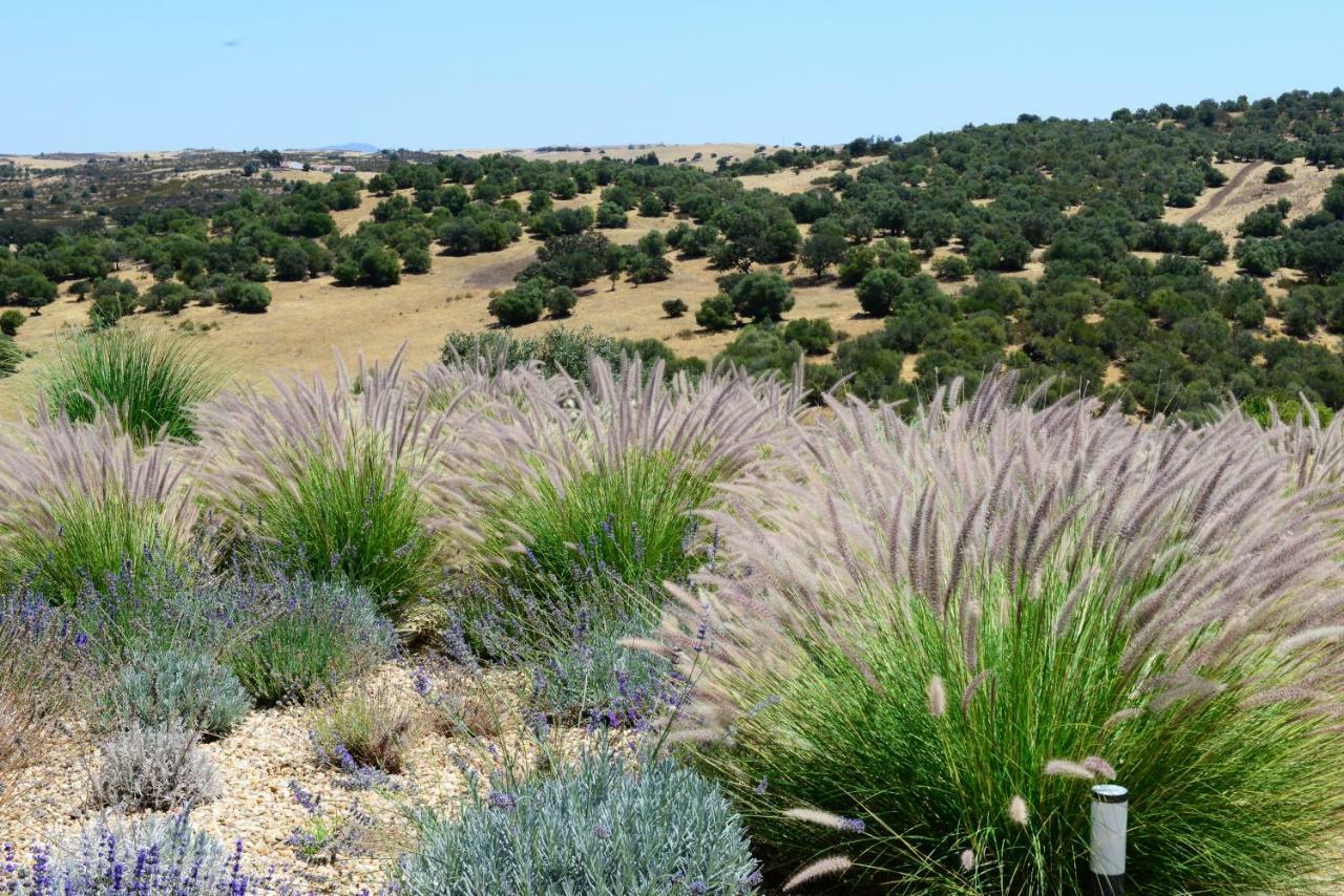 Vistas - Herdade Do Zambujal Castro Verde Exterior photo